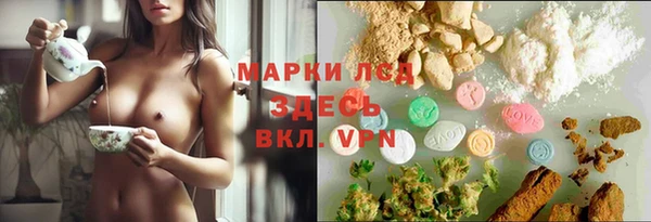 шишки Абинск