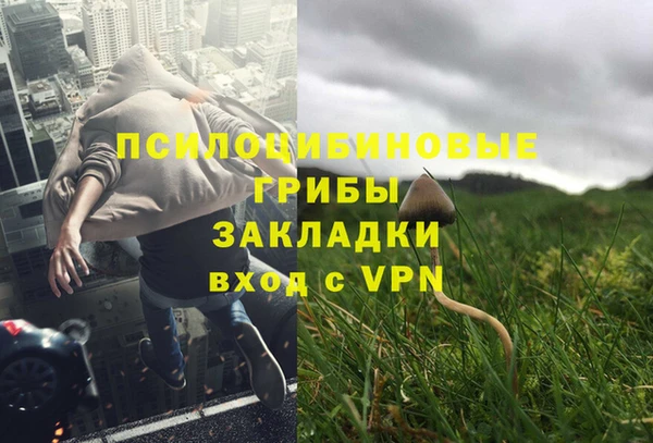 гидропоника Абдулино