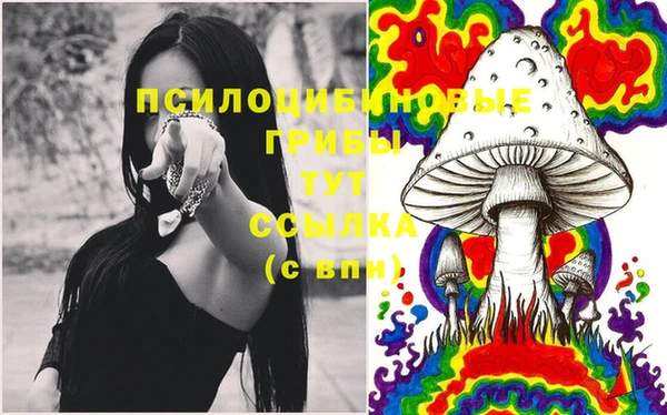 гидропоника Магадан