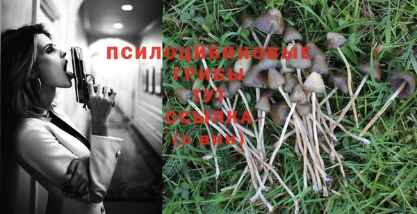 шишки Абинск