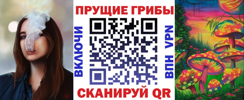 что такое   Струнино  Псилоцибиновые грибы Magic Shrooms 