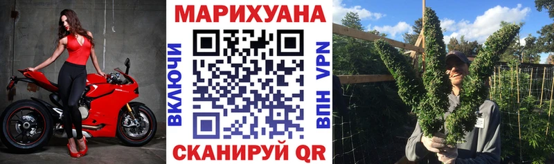 Каннабис Bruce Banner  Струнино 